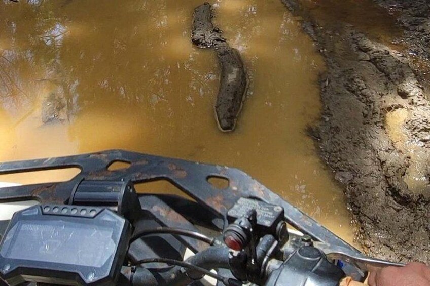 ATV TOUR MEDELLIN - BEST ATV TOUR MEDELLIN - ULTRA TOURS MEDELLIN 3