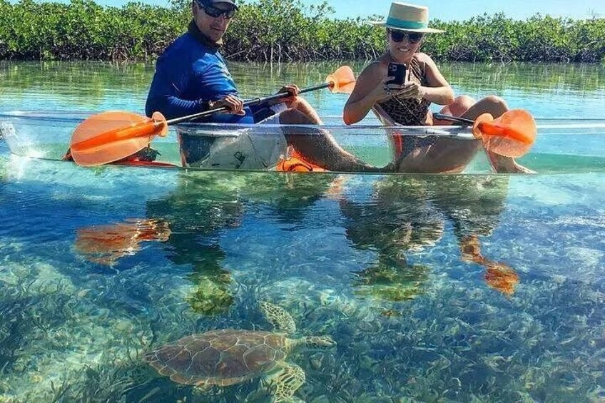 Mangrove Cay Tour 2