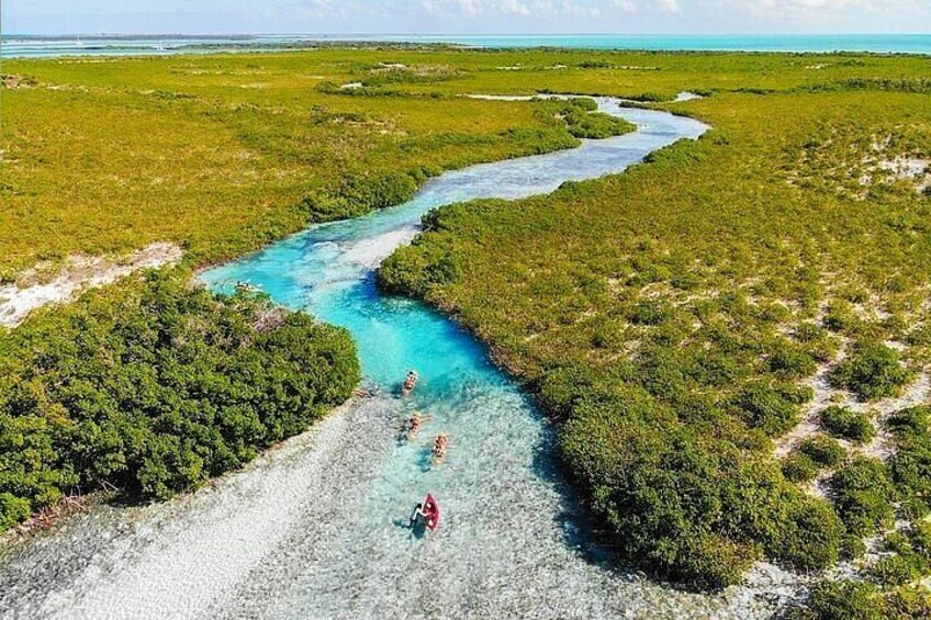 Mangrove Cay Tour 3