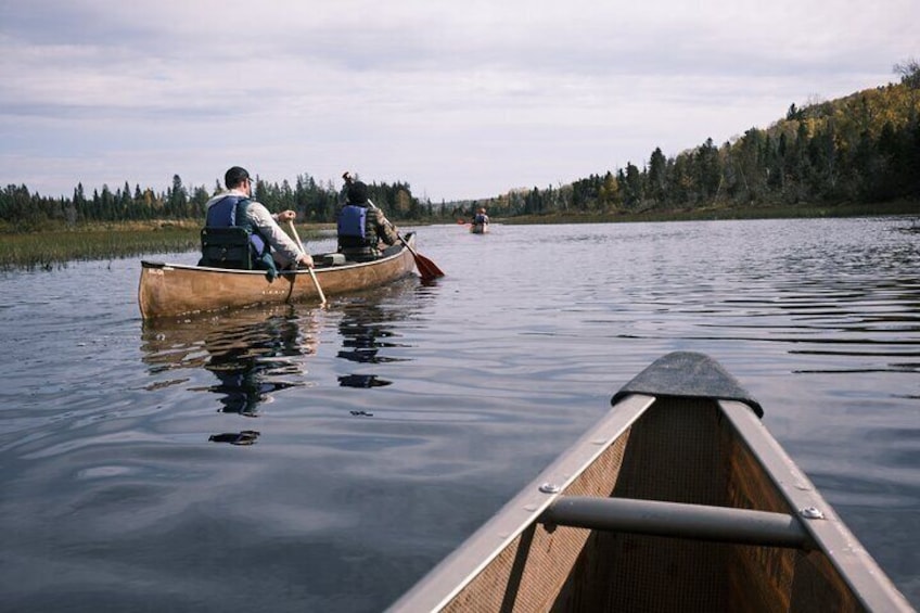 Canoe National Forest Lakes (Lutsen/Grand Marais) 3