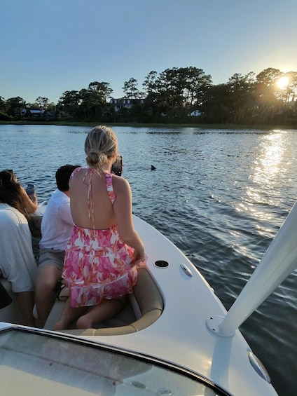 Picture 15 for Activity Hilton Head Island: Private Dolphin Tour | 2 Hours 3