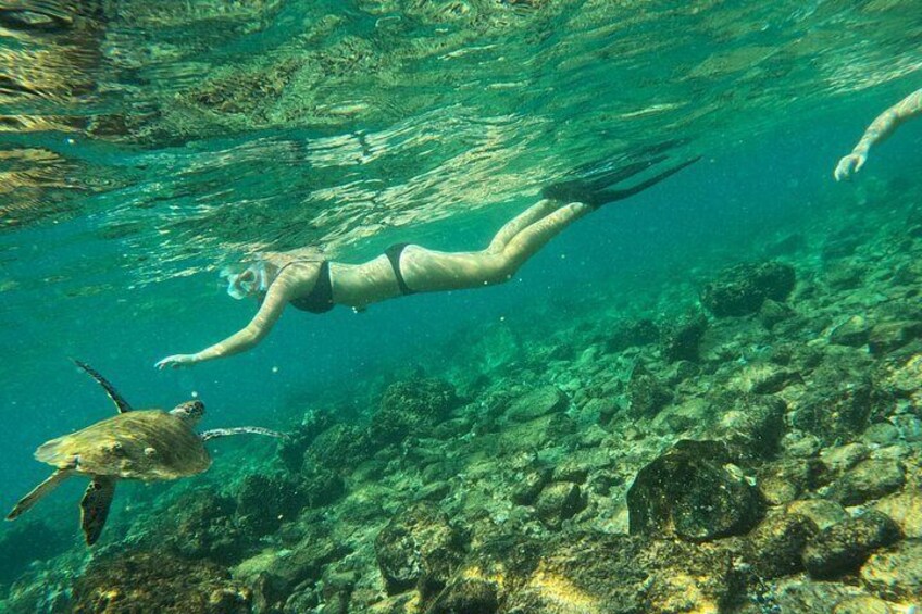 A person swimming underwater with a turtle nearby. 1