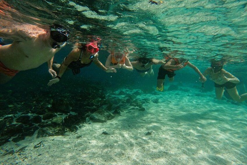 Snorkeling with turtles in Fujairah 2
