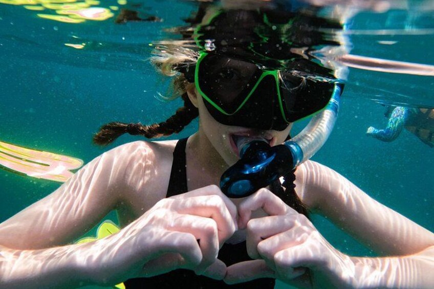 Snorkeling with turtles in Fujairah 3