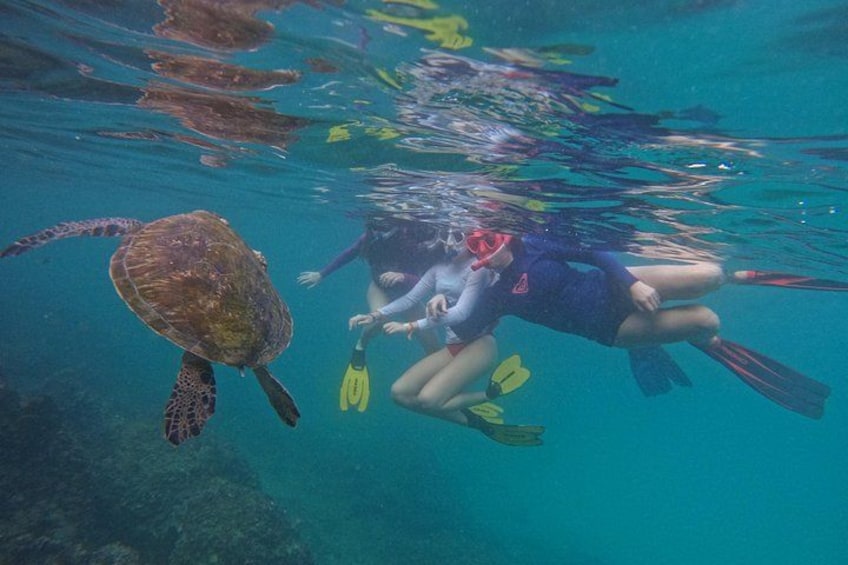 Un buceador nada con una tortuga marina en aguas azul turquesa. 2