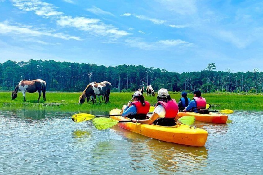 Chincoteague's Kayak Tour around the Islands 2