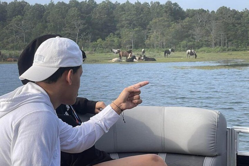 Une personne désigne un lac, où l’on voit des chevaux brouter sur la rive. 2