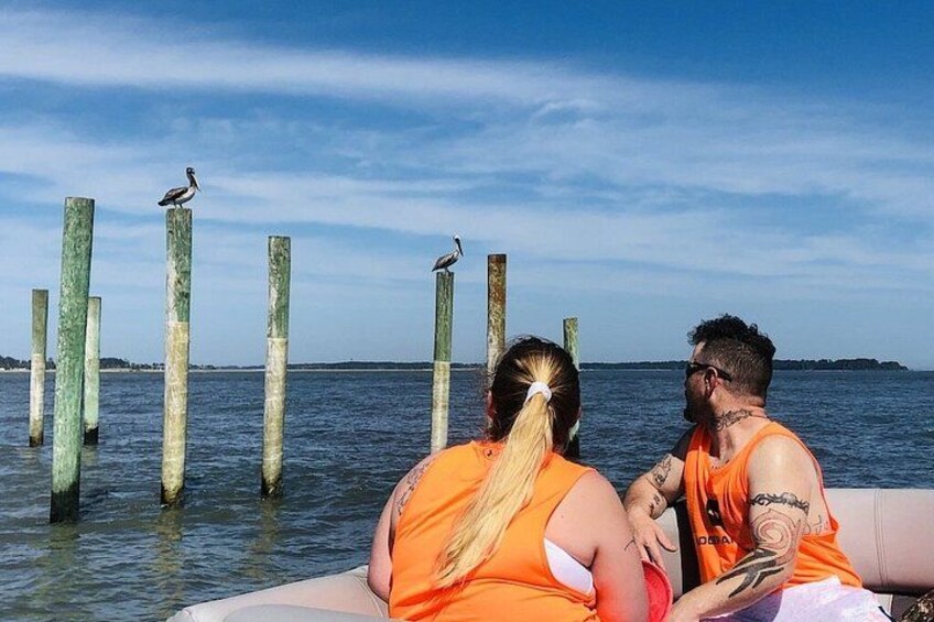 Chincoteague's and Assateague’s Grand Boat Tour with Capt.John 5
