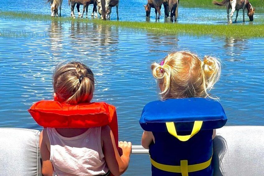 Chincoteague's and Assateague’s Grand Boat Tour with Capt.John 2