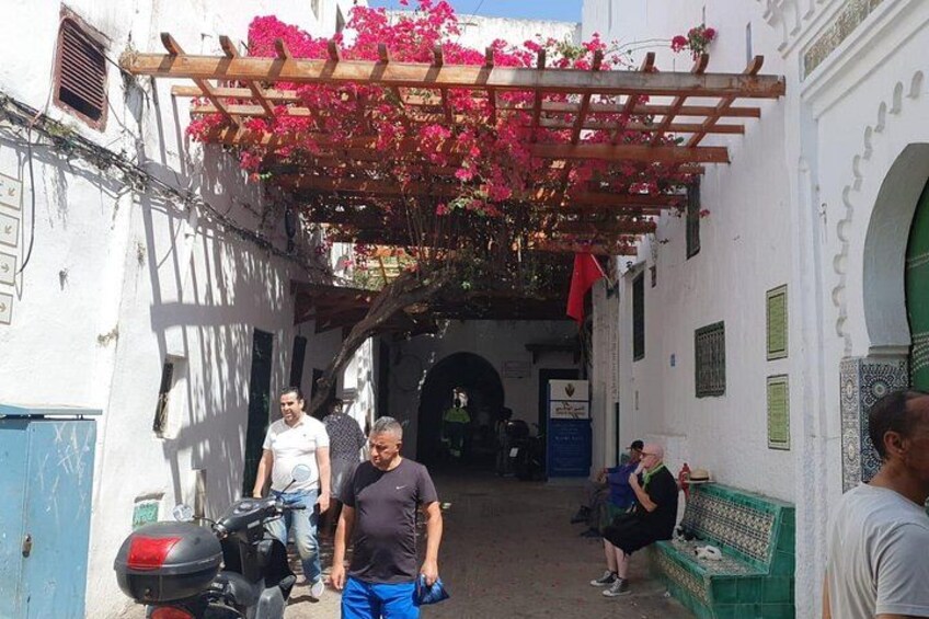 A narrow alley with a wooden pergola covered in pink flowers, a motorcycle parked on the left, and a green bench on the right. 3