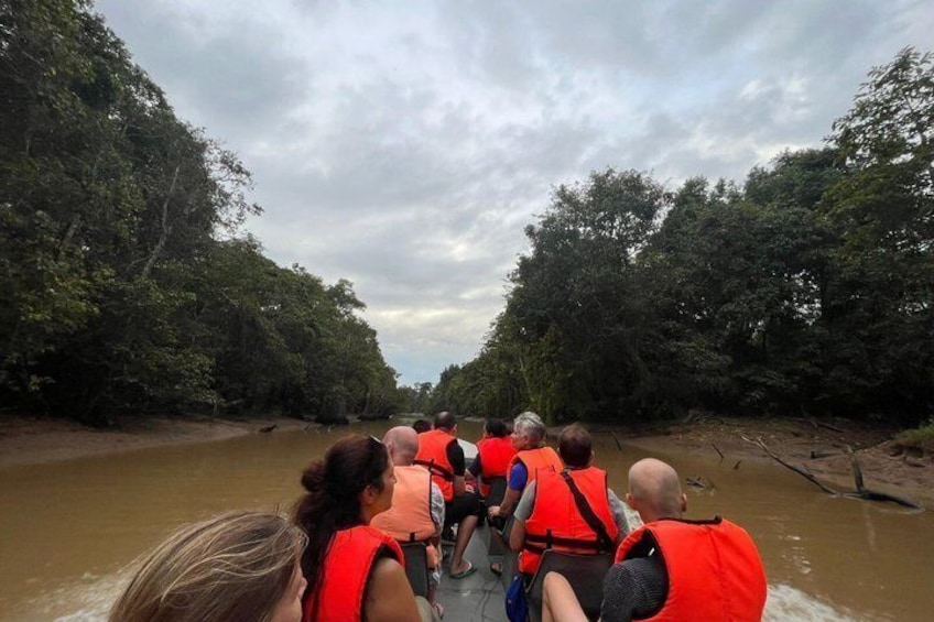 A group of people in orange life vests on a boat in a river surrounded by dense forest. 4