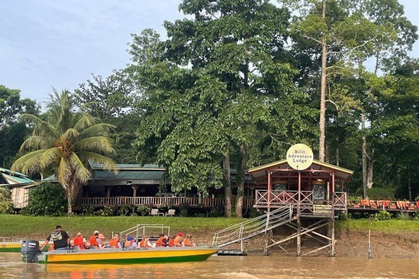 A boat with passengers, a lodge, and a palm tree. 3