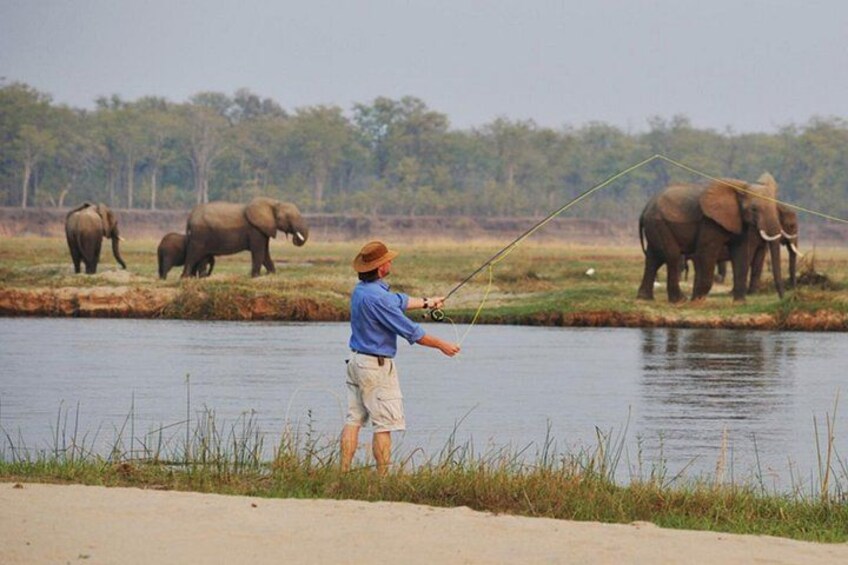 Chobe River Fishing Trip 2