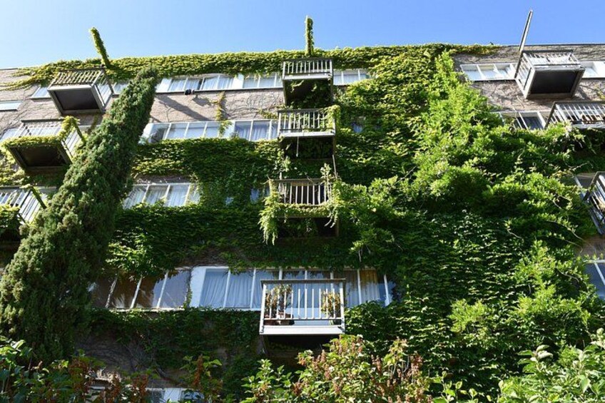A building covered in green ivy, with multiple balconies and windows. 4