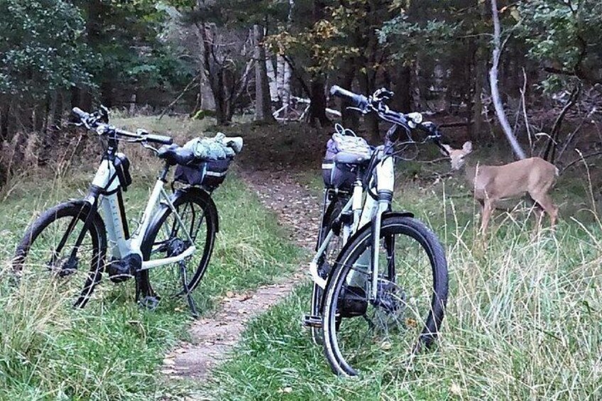 Our premium Gazelle e-bikes catch everyone's eye. 2