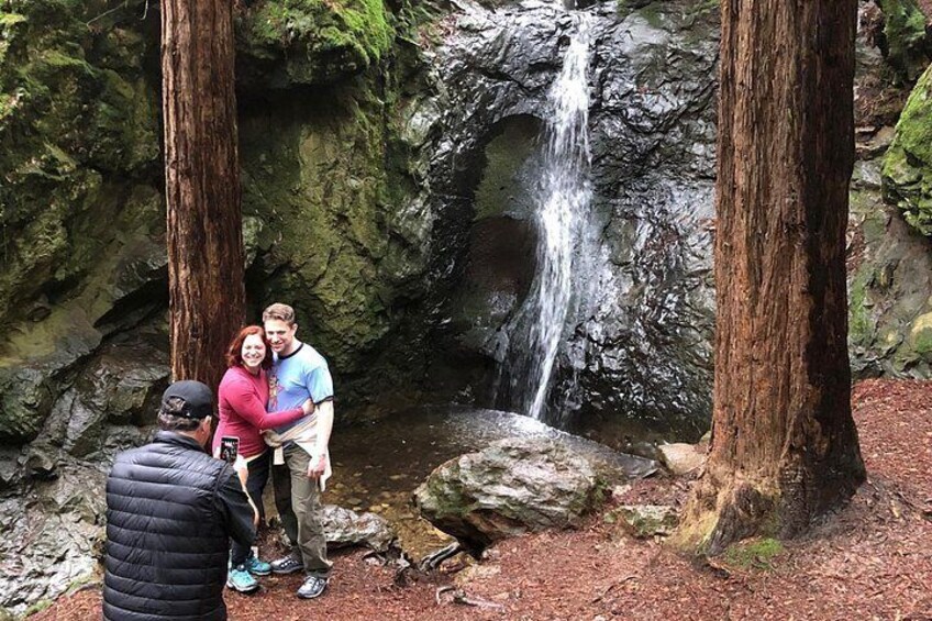 Redwoods of Marin and Mt. Tamalpais Walking Tour with Local Guide 3