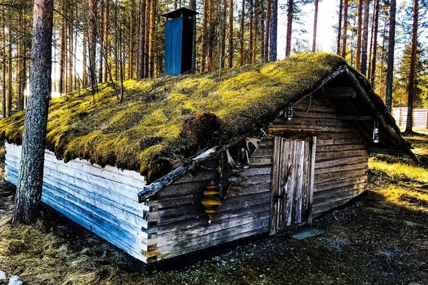 Een met mos begroeide houten hut in een bos. 3