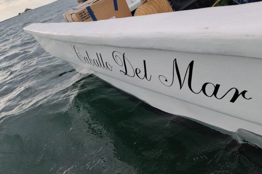 En båd med navnet 'El Calero Del Mar' på skroget. 5