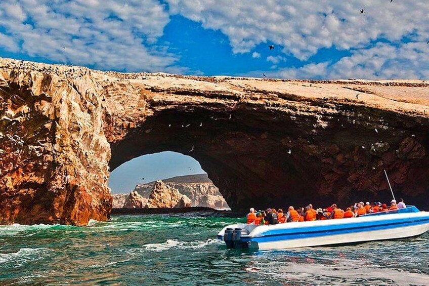 Ballestas Island, Paracas 2
