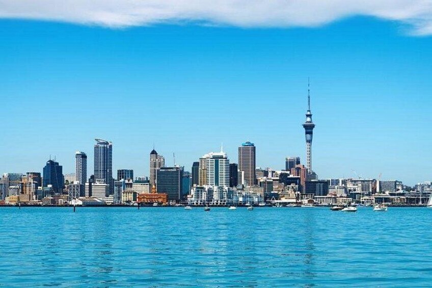 Auckland Private Custom Walking Tour with A Guide (Private Tour) 4