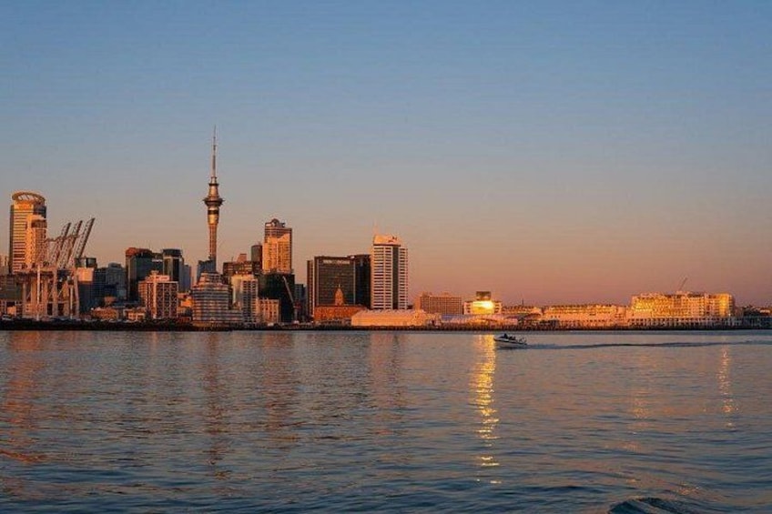Auckland Private Custom Walking Tour with A Guide (Private Tour) 1
