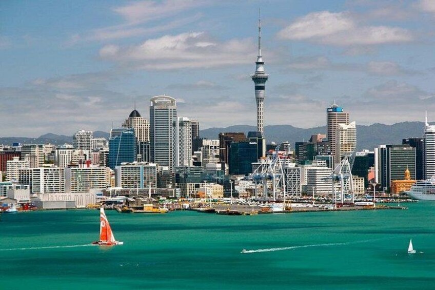 Auckland Private Custom Walking Tour with A Guide (Private Tour) 5
