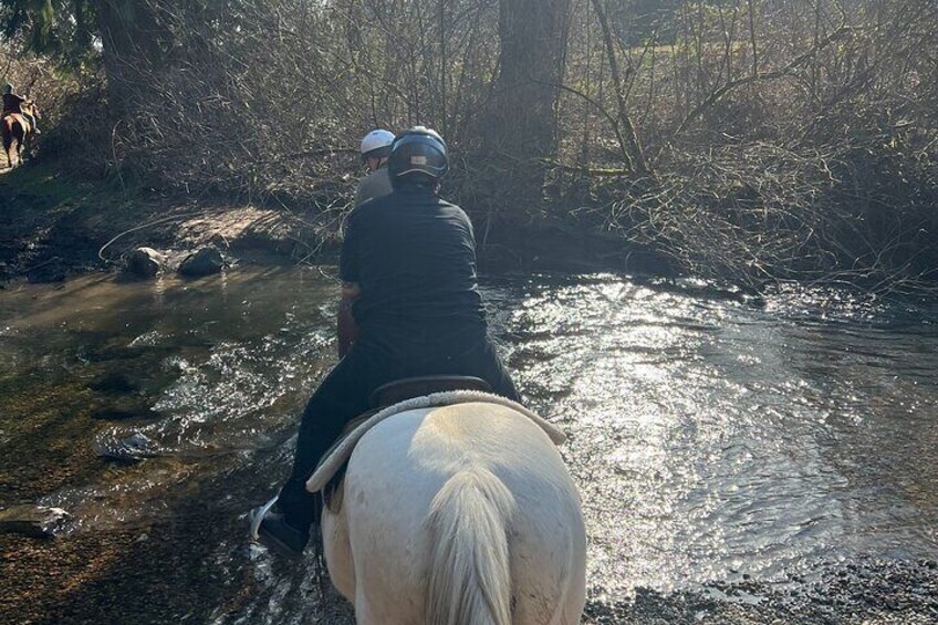 Horse riding