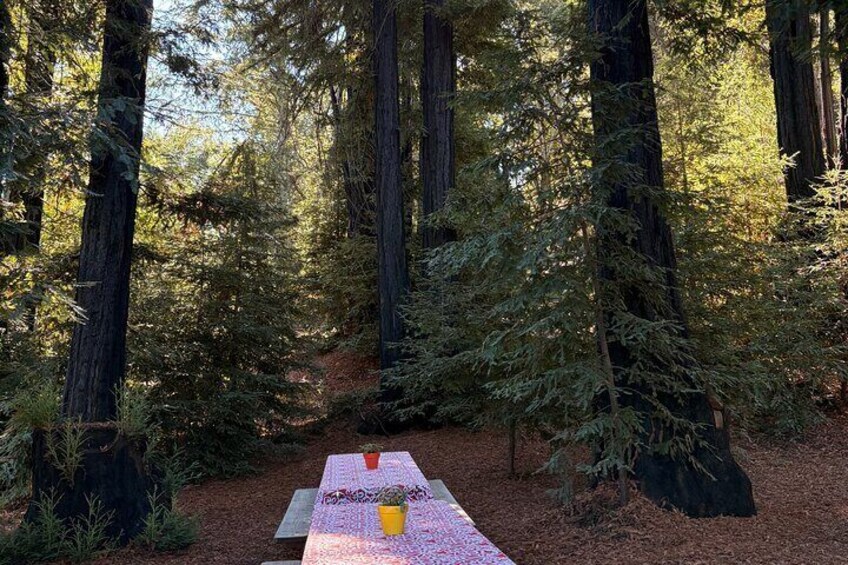 Una mesa de picnic en un bosque con árboles altos y ramas de pino. 5