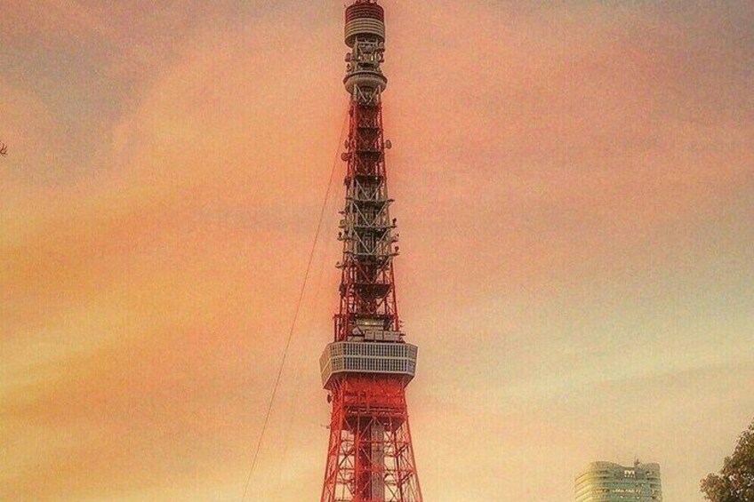 Tokyo Tower Observatory Main Deck Admission Ticket 2