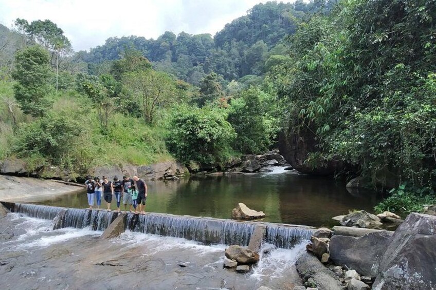 Un grupo de personas de pie junto a una cascada en un área boscosa. 4