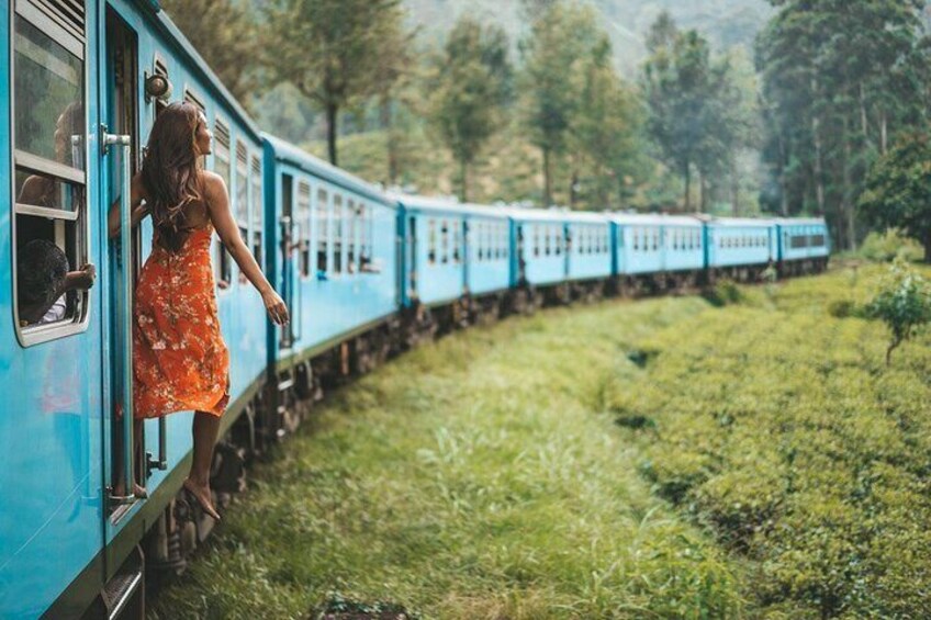 Nuwara Eliya Highlights: Waterfall, Tea & Picturesque Train Ride