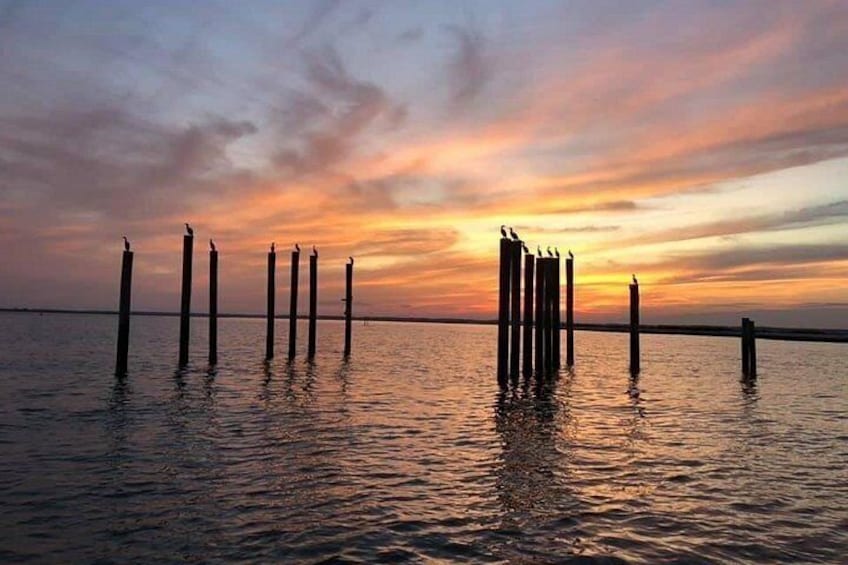 Chincoteague's Sunrise Boat Tour Around The Islands 5