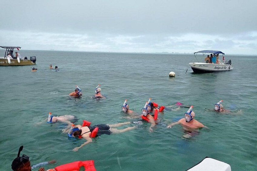 Happy group of Snorkelers 4