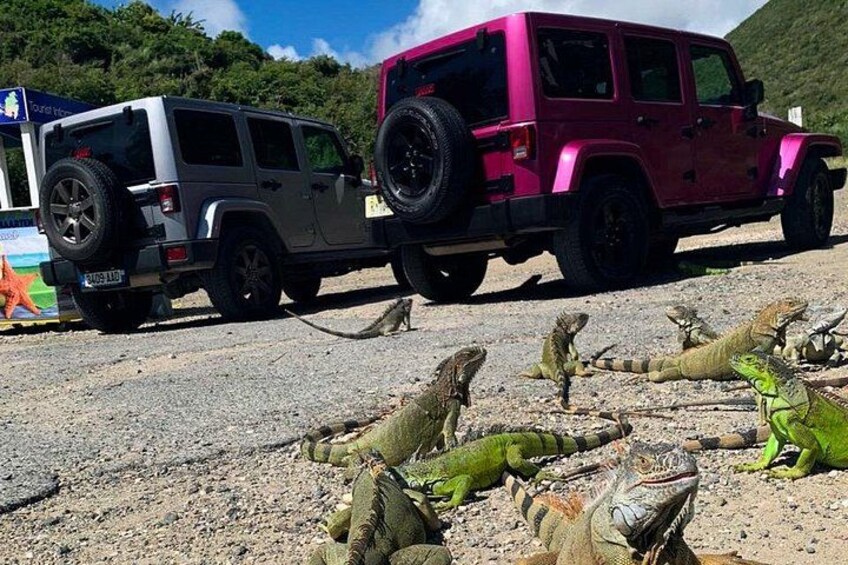 Guided Jeep Tour Exploring French and Dutch St Maarten 1