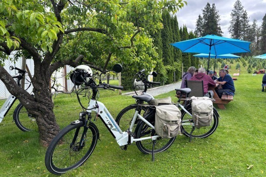 Kelowna E-Bike Bee Tour, Tastings, Organic Lunch & Audio Guide 3