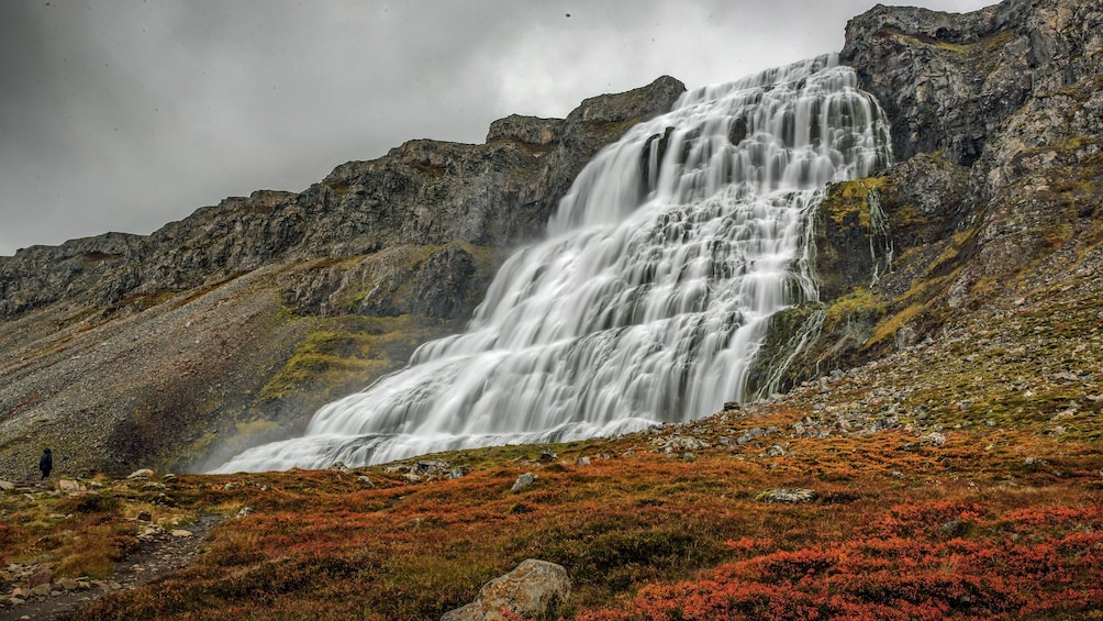 Dynjandi Waterfall & Icelandic Farm Tour from Isafjordur