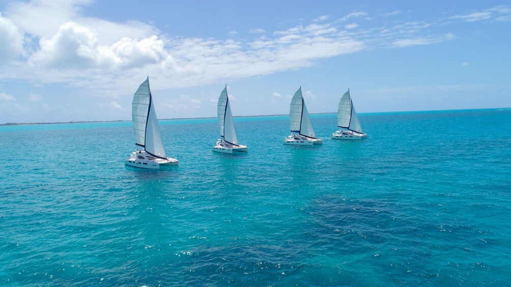 Isla Mujeres Catamaran and Snorkel - Lunch & Open Bar Onboard 1