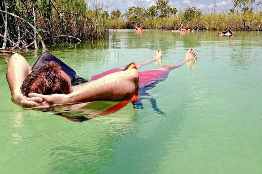 A person floating on a raft in a body of water surrounded by mangrove trees. 3