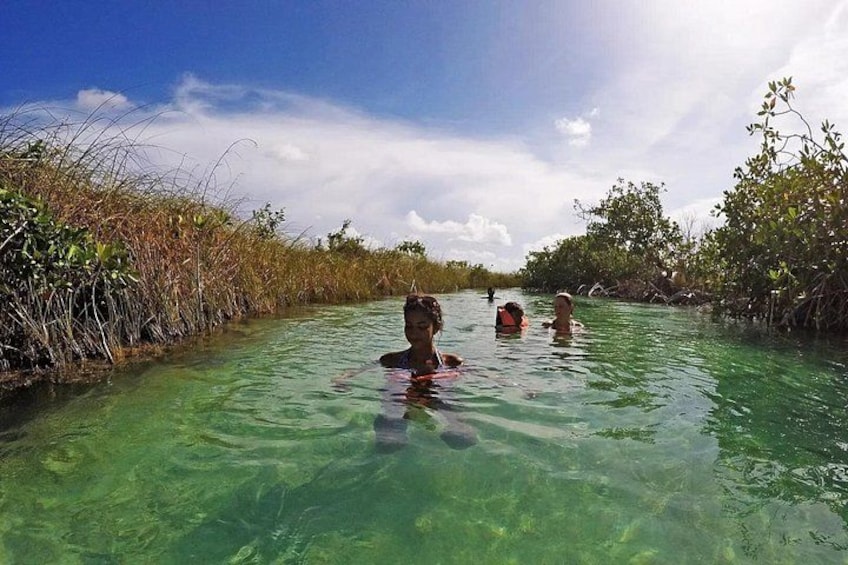 People swimming in a clear water body surrounded by mangrove vegetation. 2