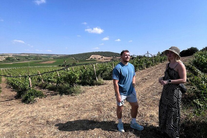 Wine Tour from Cagliari - Visit the vineyard and wine tasting 3