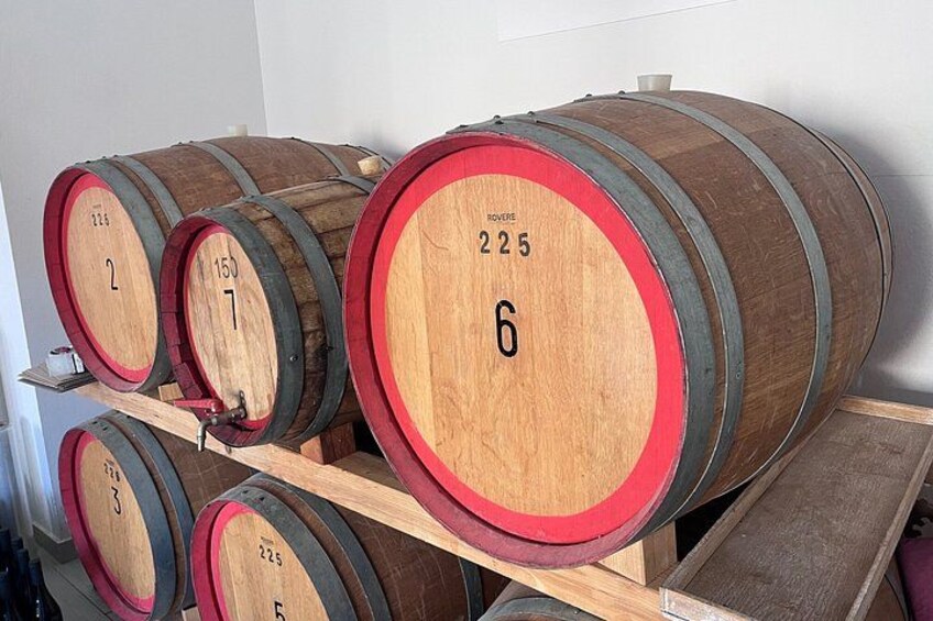 Wine Tour from Cagliari - Visit the vineyard and wine tasting 2