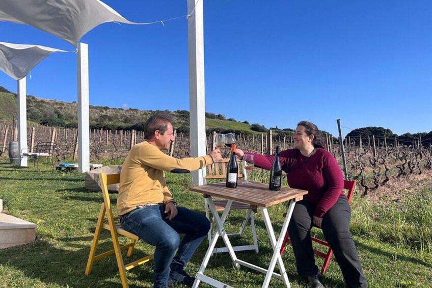Wine Tour from Cagliari - Visit the vineyard and wine tasting 1