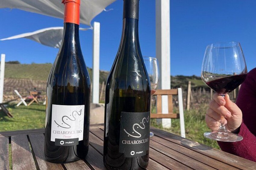 Wine Tour from Cagliari - Visit the vineyard and wine tasting 3
