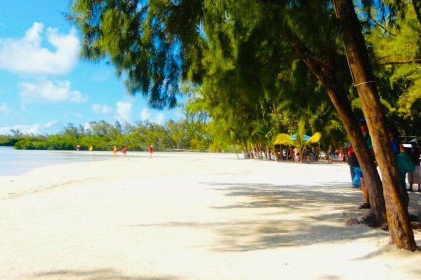 Una playa con arena, árboles y sombrillas. 2
