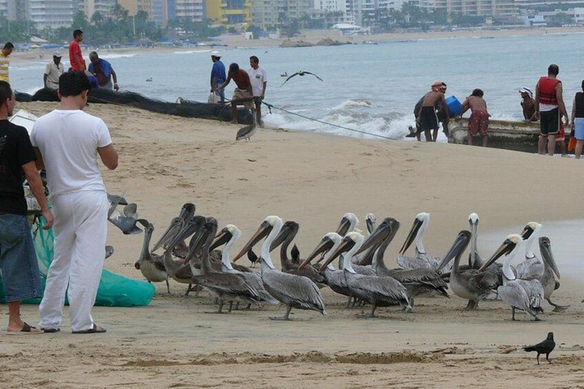 Private Transfer From Mexico City To Acapulco With a 2 Hour Stop 3