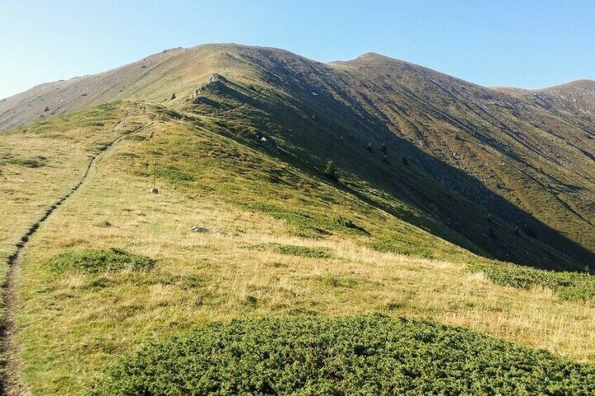 Een glooiend grasveld met een pad dat naar een berg leidt. 5