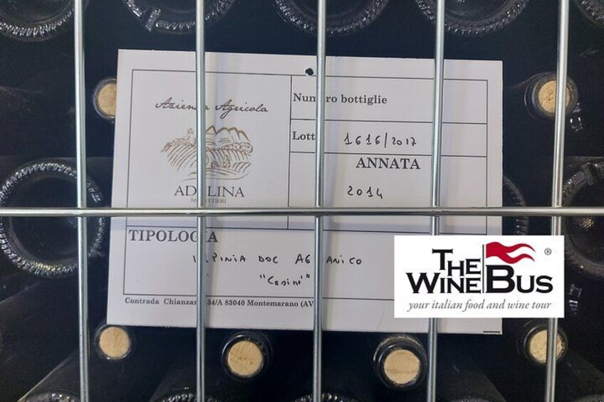 Wine bottles with labels and a logo for 'The Wine Bus' tour. 2