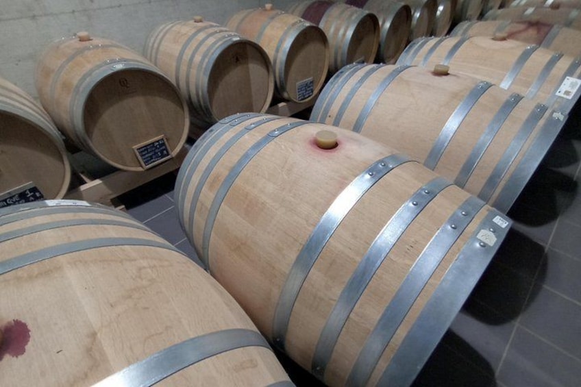 Wooden wine barrels with metal bands, arranged in rows. 1