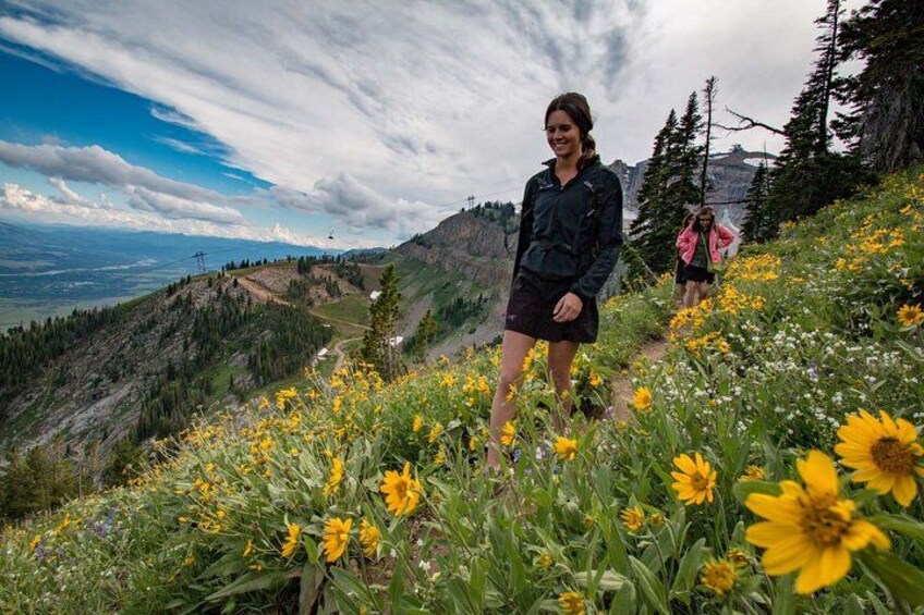 Hiking trails access stunning views 4