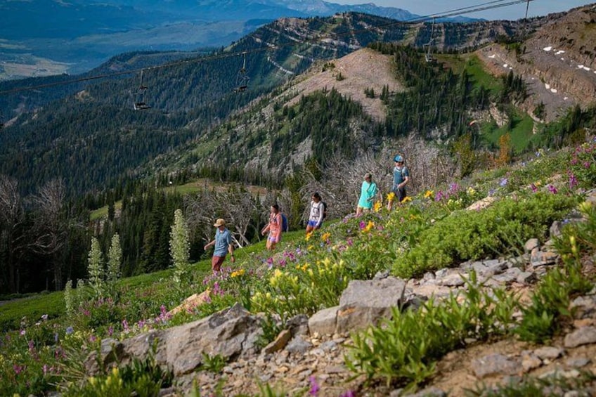 Hiking trails access stunning views 2